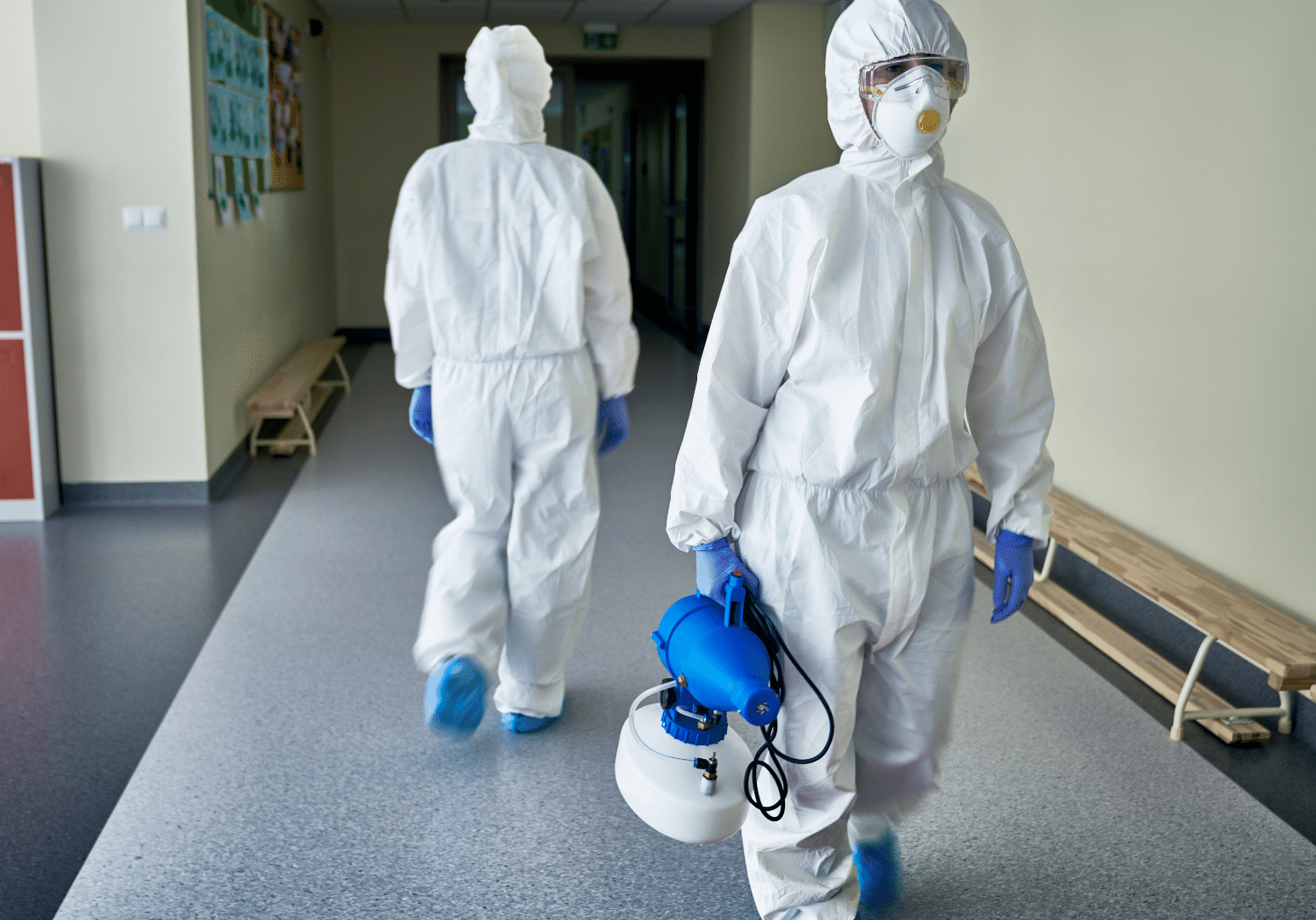 Untitled design - 2026-02-11T101536.459